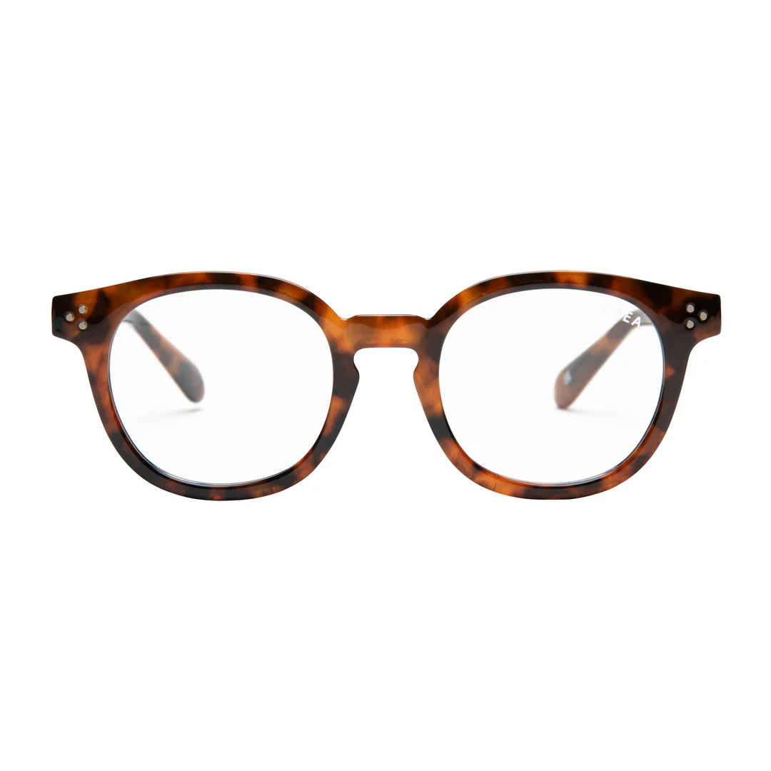 Hayden Reader